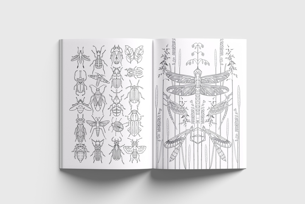 Wonderful Insects